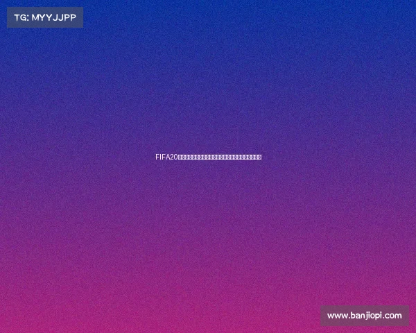 FIFA20是否拥有世界杯授权与模式真相解析全面分析深度解读